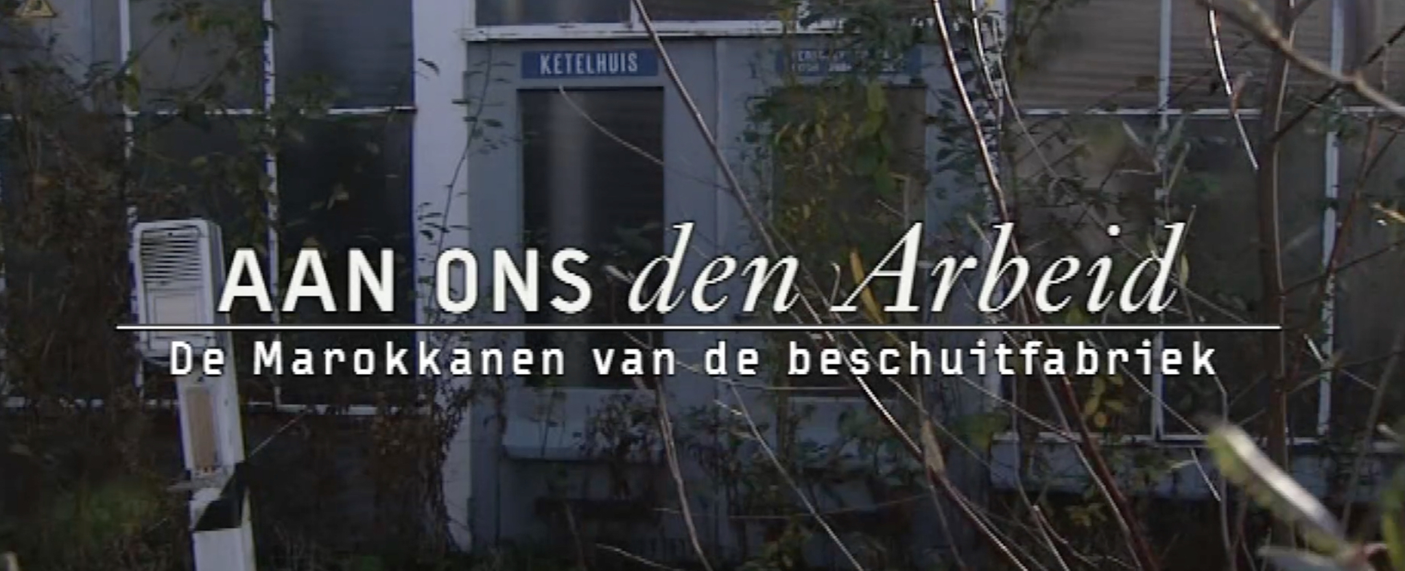 Diafragma Films en Tentoonstellingen -  